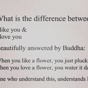 Meet your Posher, Shuli